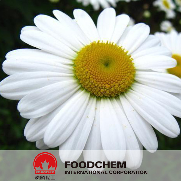 Pyrethrum Extract